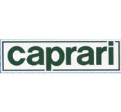 Visita il sito del produttore CAPRARI